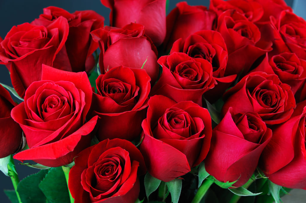 開店祝いに花を贈ろう！おしゃれなバルーン付き＆華やかなスタンド花がおすすめ Giftpedia byギフトモールアニー