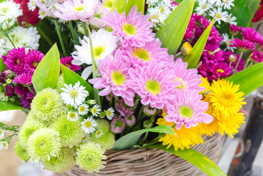 大切なお母さんに贈りたい 母の日に贈る華やかな 鉢植え のギフトをご紹介 Giftpedia Byギフトモール アニー