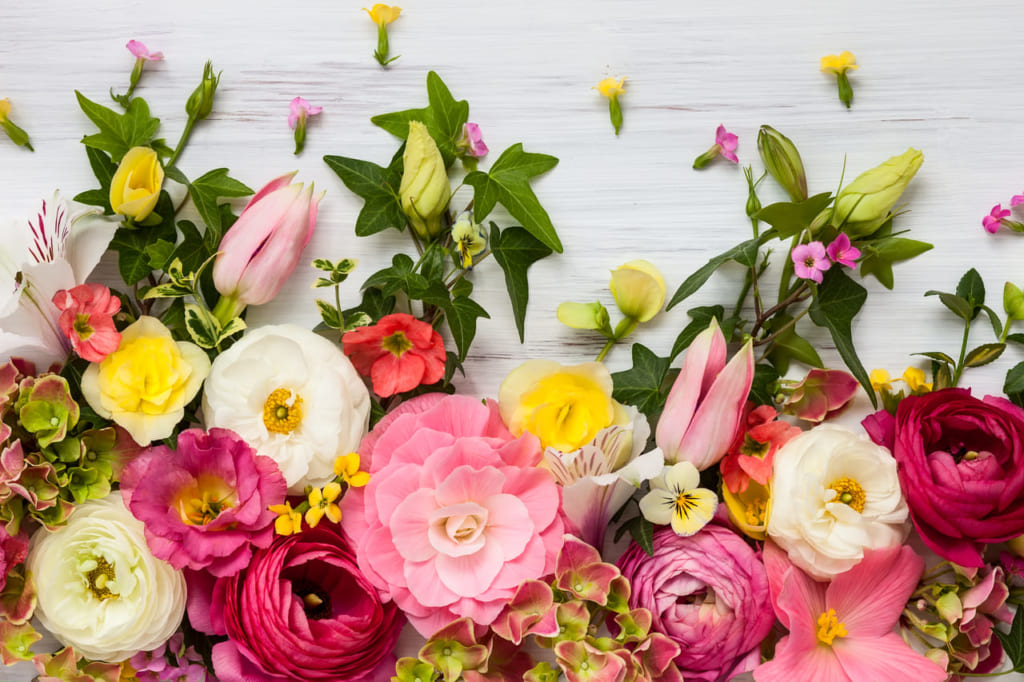 プレゼントにすてきな花を贈ろう！花言葉やシーンで選ぶ【おすすめの花グッズ50選】 | Giftpedia byギフトモールアニー