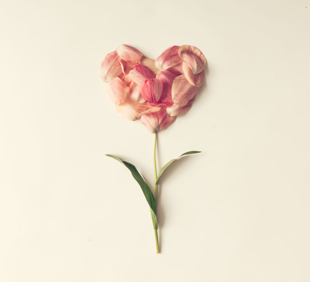 出産祝い ふさわしいお花って 選び方やおすすめのお花を一挙紹介 Giftpedia Byギフトモール アニー