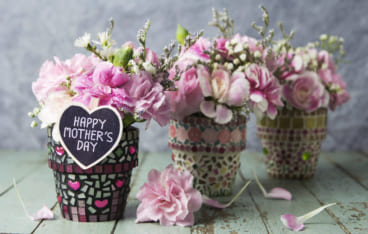 大切なお母さんに贈りたい 母の日に贈る華やかな 鉢植え のギフトをご紹介 Giftpedia Byギフトモール アニー