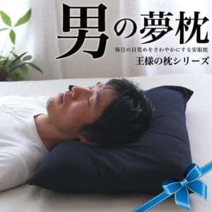 男の夢枕 （超極小ビーズ枕）消臭 枕カバー付き