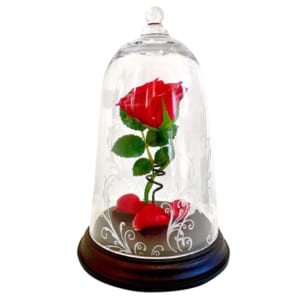 プリザーブドフラワーの薔薇に天然ダイヤを付けたベル型ガラスドーム ★美女と野獣　天然ダイヤ付き　一輪の赤い薔薇 ★ 結婚記念・ウェディング・お誕生日・記念日など贈り物に最適です！ by cafura　jiyugaoka