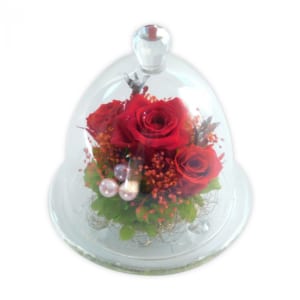 プリザーブドフラワーのガラスドーム 赤い薔薇 お祝い 誕生日 結婚記念日 還暦 by アトリエ美鈴－花とブーケの専門店－