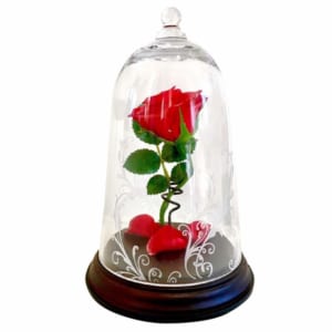 プリザーブドフラワーの薔薇に天然ダイヤを付けたベル型ガラスドーム ★美女と野獣　天然ダイヤ付き　一輪の赤い薔薇 ★ 結婚記念・ウェディング・お誕生日・記念日など贈り物に最適です！ by cafura　jiyugaoka