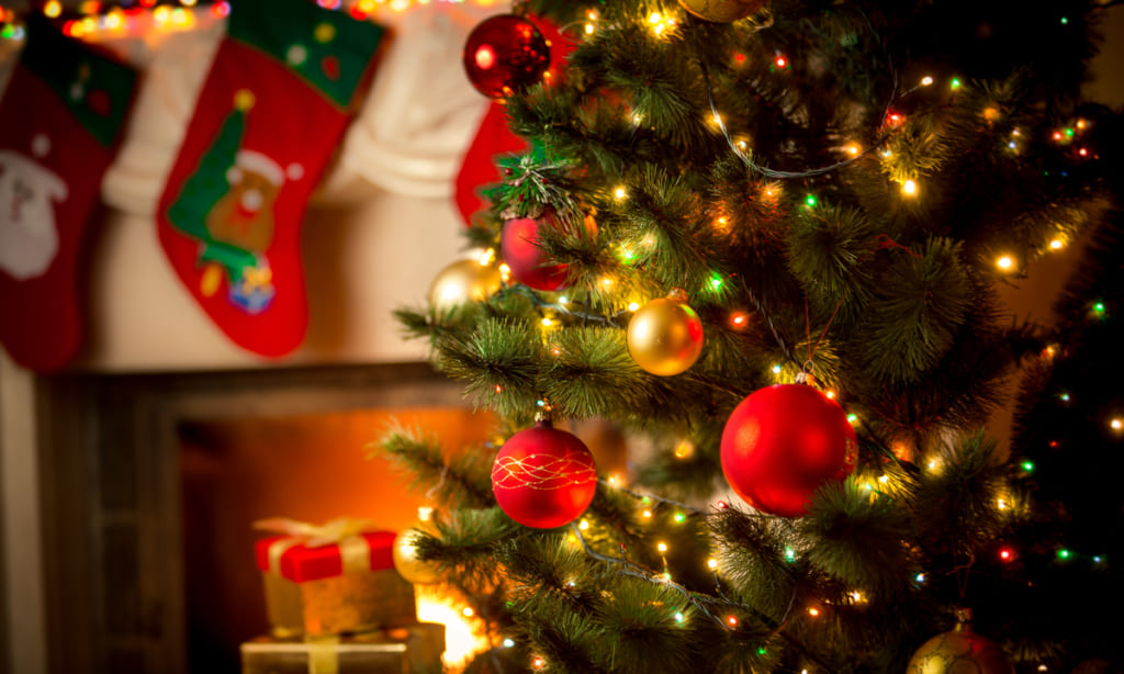 クリスマスにおしゃれなツリーをプレゼント！由来や飾りの意味も解説 | Giftpedia byギフトモールアニー