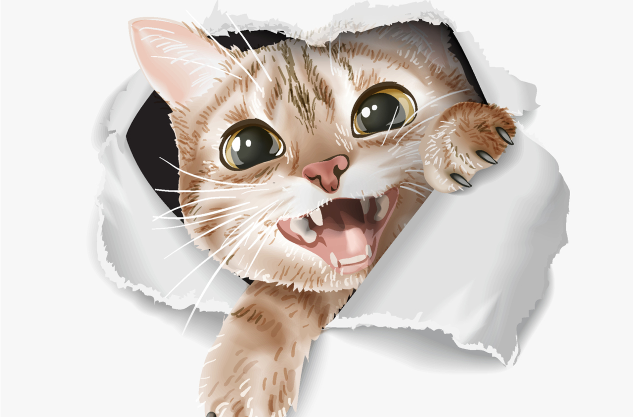 猫好き必見 猫モチーフの財布にキュン 人気ブランド おすすめ選 Giftpedia Byギフトモール アニー