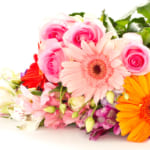 母の日にはお母さんにラインを送ろう メッセージ文例やラインで送れるプレゼントも紹介 Giftpedia Byギフトモール アニー