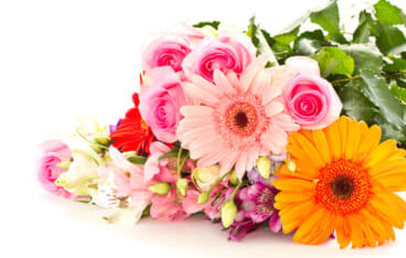 母の日にふさわしい花言葉は 最適なお花7選と喜ばれる植物ギフト特集 Giftpedia Byギフトモール アニー