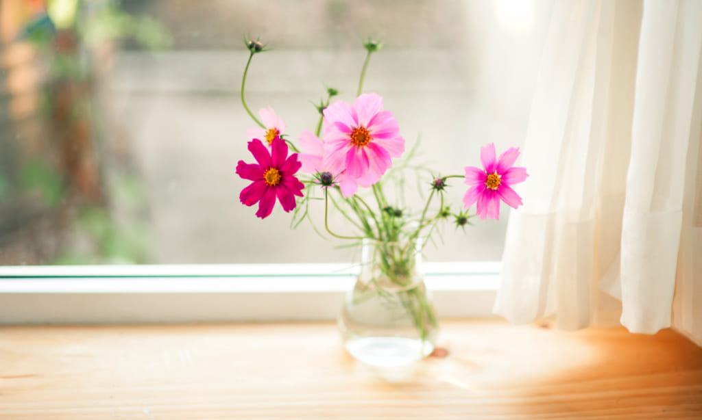 オシャレな 花瓶 で花の表情が変わる 注目の人気ブランド10選 Giftpedia Byギフトモール アニー