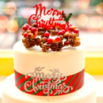 クリスマスケーキのプレゼント人気ランキングTOP10＜話題のお取り寄せも！＞