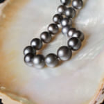 黒真珠のネックレスおすすめ9選！大人の品格あふれるアイテムを厳選