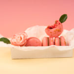 お礼に喜ばれる「お菓子」10選｜おしゃれな人気商品を通販でGET！